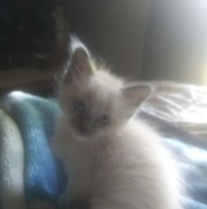 Meet your Posher, Michele